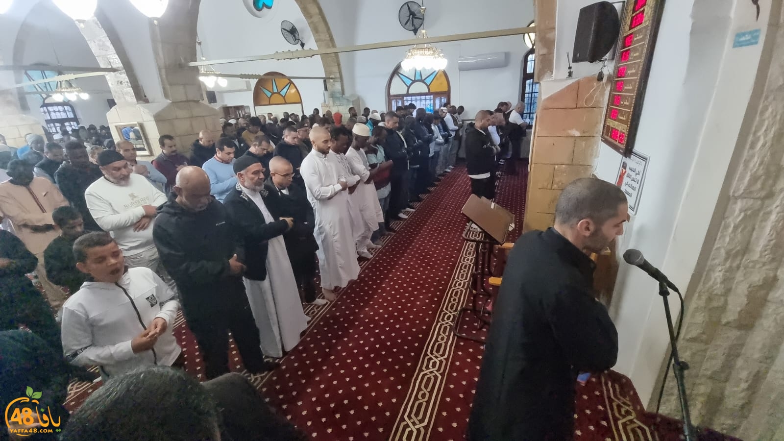 WhatsApp Image 2024-04-10 at 6.58.50 AM.jpeg